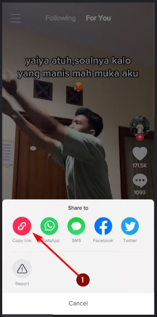 copy tiktok video url